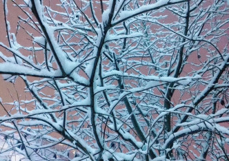 烏蘭浩特下雪。網上圖片