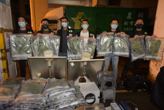 警方展示涉案大麻植物。