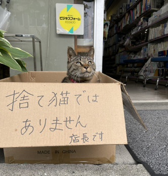 店東見狀，無奈在紙盒外寫上「牠不是被遺棄的貓咪，牠是店長！」。網圖