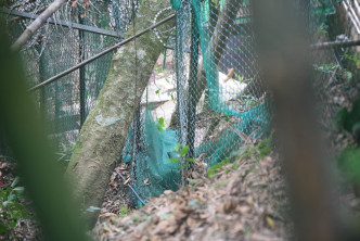 警员发现屋苑对上山坡围网被剪出一个「大窿」。 杨伟亨摄