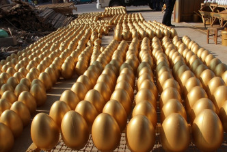 由於村民一窩蜂「產蛋」，最近幾年金蛋的利潤大不如前，每枚金蛋的利潤只在0.3元左右。 網上圖片