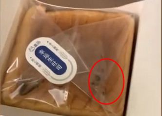 多士包装袋中留有疑似老鼠粪(红圈)。影片截图