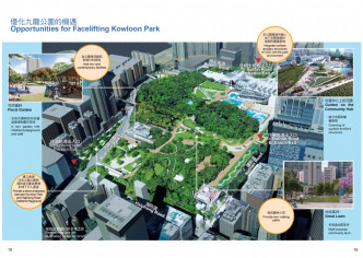 研究建議優先推展尖沙咀嘴的九龍公園概念方案。