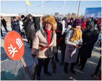 今年的頭魚是一條重10多斤的野生鰲花。網圖