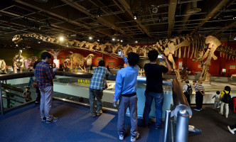 14年的恐龍展刷新博物館入場紀錄。資料圖片