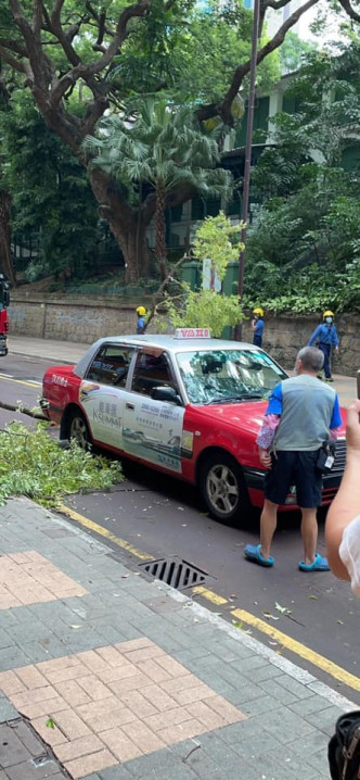 一辆行驶中的的士被塌下的树桠击中。fb香港突发事故报料区Florence Ho图片