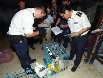 愛護動物協會昨日聯同警方和漁護署，搜查逢吉鄉一個貨櫃場。資料圖片