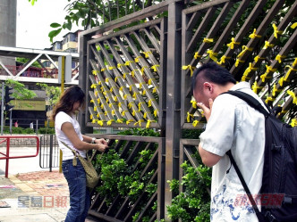 当年不少市民到消防署献花。资料图片