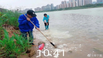 南寧市近日有多名市民到江邊投擲饅頭餵魚。網圖