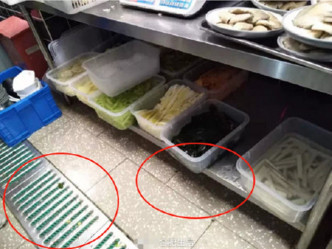 涉事火锅店场所设置、厨馀垃圾处理方式等卫生状况不符合保障食品安全标准。微博图片