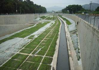 元朗排水绕道河底和河岸斜坡亦营造植物生长的空间，例如图中的「混凝土草格」人工植草方法。黄伟纶网志图片