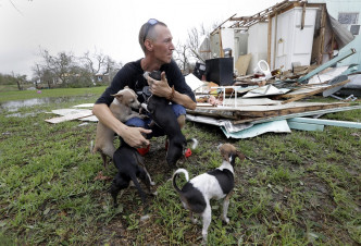 许多动物也是风灾受害者。AP图片