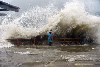 去年超強颱風天鴿吹襲鯉魚門。資料圖片