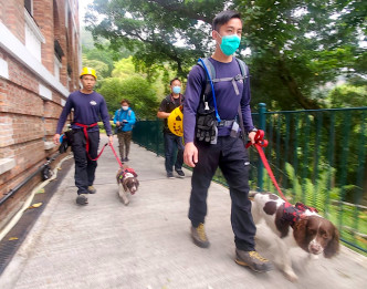 消防员带同搜索犬在现场搜索。