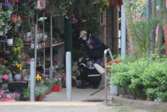 日前，蚊蚊又带住工人姐姐到西贡旧墟一间花店拣盆栽，其间戴上黑色Cap帽的她踎低左睇右睇。