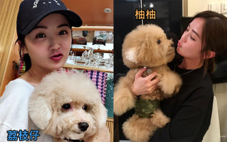 蔡卓妍一周内痛失如亲人般的两只爱犬「柚柚」和「荔枝仔」。