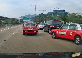 屯门公路狗只出没引发交通意外。网民Hung Lai Hang影片截图