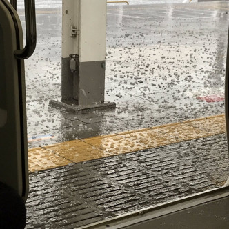 东京地铁一度延误。网上图片