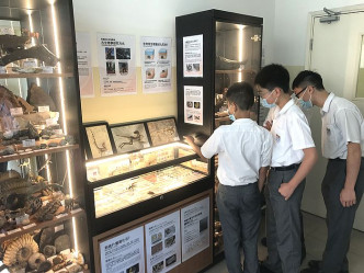 同學對「上古生物展區」的展品大感興趣。