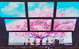 五月天大阪在LED屏幕樱花海下开唱。网上图片