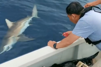 网传西贡疑现鲨踪。 网民Wilson Chak影片截图