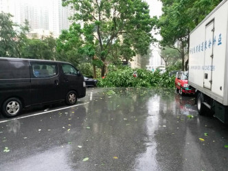 將軍澳厚德邨塌樹，波及多輛私家車。網上圖片