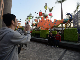 露天廣場亦會展出「雀屏春瑞耀香江」綵燈展。