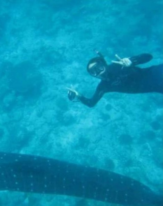 陈键锋试过潜水时遇上鲨鱼，搞到经理人好鬼惊。