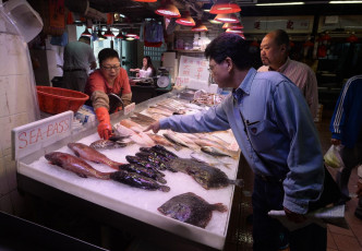 海鲜档负责人指捕虾船减少，海虾来货价上升。