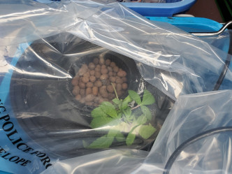 警方搜出大麻及一些大麻花