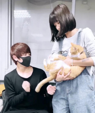 姜涛战战兢兢从猫主人手上接过肥猫。