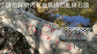 Facebook群組「香港行山路綫及資訊谷」網民Jacky Chan圖片。