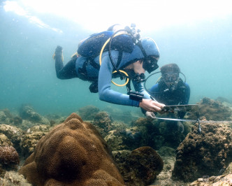两名珊瑚礁普查员记录指标品种、珊瑚覆盖率和其健康状况。渔护署提供