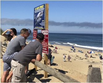一名男子和友人周六在海滩玩冲浪板遭鲨鱼袭击。AP
