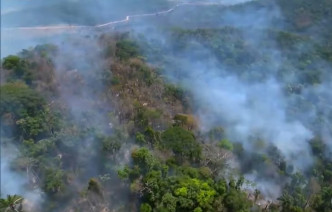 巴西亚马逊热带雨林遭受火灾破坏。网上图片