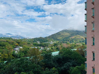 低層單位勝在前方沒有建築物，外望翠綠山景。