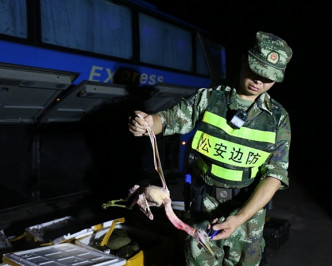 警方檢獲132隻國家二級保護動物夜鷺及90公斤夜鷺屍體。網圖