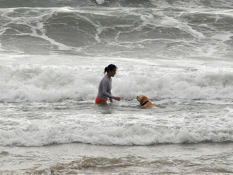 有市民携同狗只在岸边散步。
