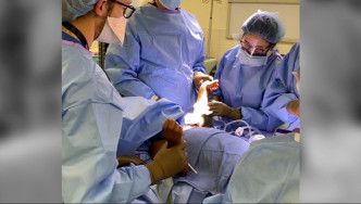 牙買加5歲男童在紐約進行手術後保住性命。網上圖片