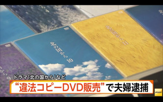 二人涉嫌在網上販賣盜版日劇DVD。（富士新聞截圖）