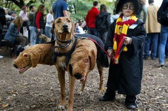 哈利B特與三頭狗（圖片來源：collegehumor.com）
