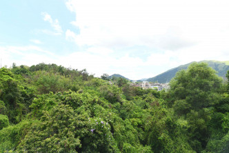  從洋房外望林村郊野公園一帶山景，放眼盡是翠綠山巒。