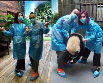 千嬅、彭浩翔亲亲大熊猫。