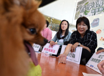 蒋丽芸在活动上分享与爱犬相处之道。