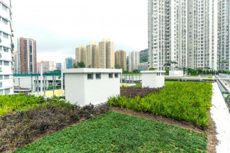 华厦邨的绿色屋顶，其雨水收集系统能从中收集雨水。政府新闻处图片