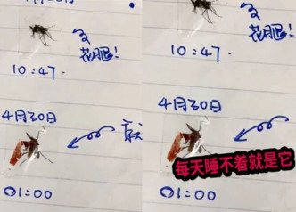 網民將蚊子打死後，再用膠紙貼記並寫上日期時間。影片截圖