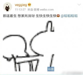 王菲曾Tag好友「稻稻」并留言祝对方生日快乐。