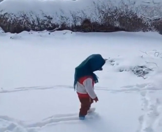 甘肅下大雪。網上圖片