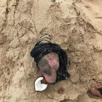  可怜的小狗被活埋在沙滩上。（网图）
