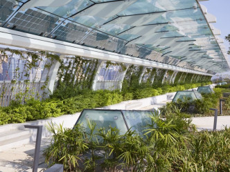 空中花園內有不少環保元素，包括玻璃簷篷上的太陽能板及地面的天窗。